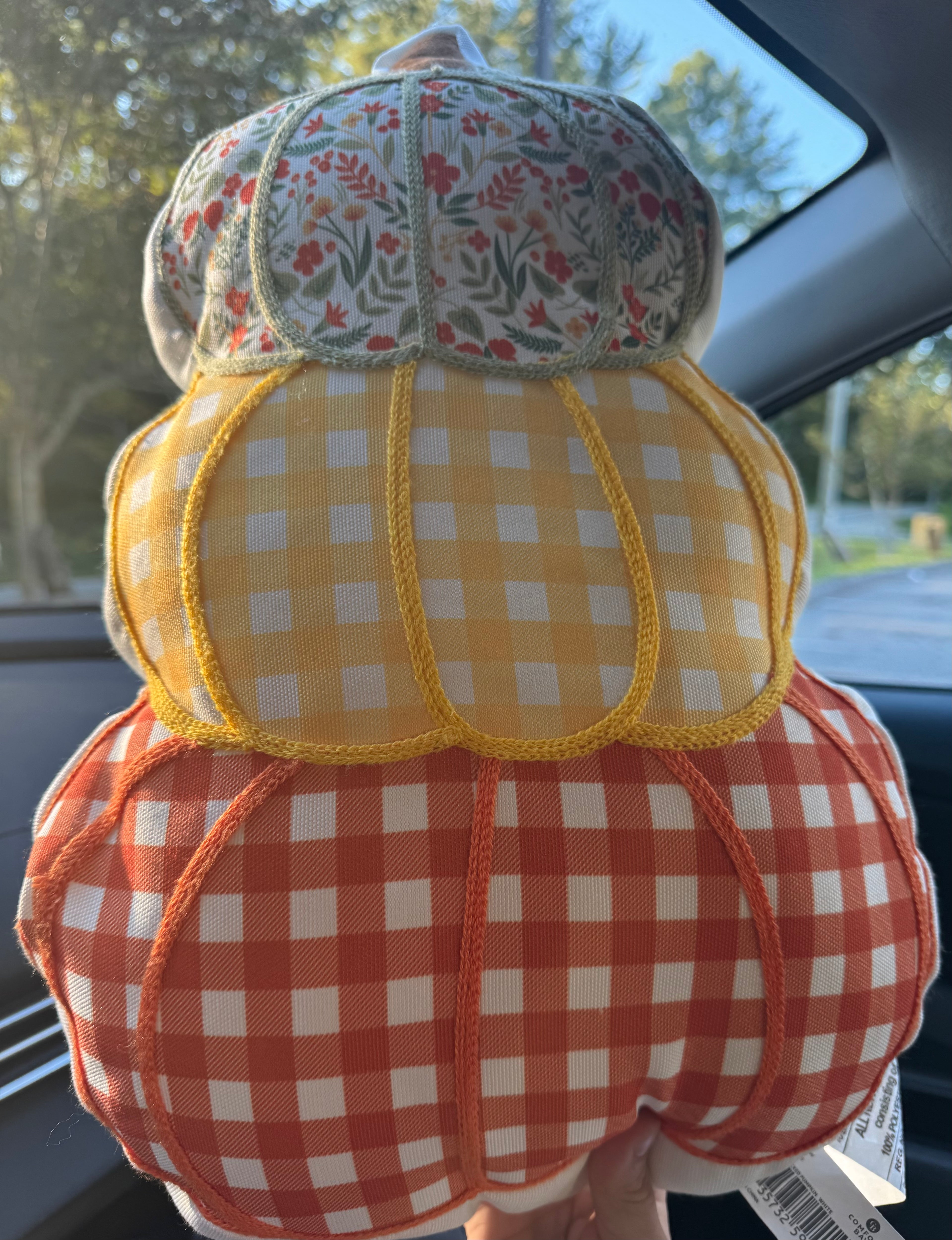 Fall Decor Pillow